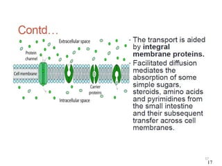 3-Drug Absorption and it's Distribution.pptx