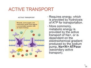 3-Drug Absorption and it's Distribution.pptx