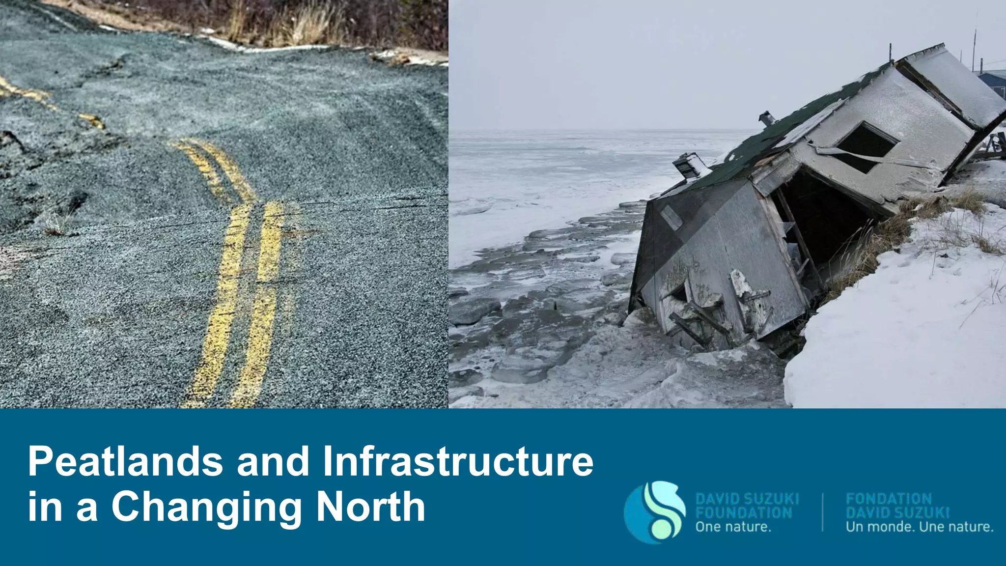 Peatlands and Infrastructure
in a Changing North
 