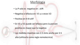 Morfologia
• La P solo es negativa en : aVR
• Negativa o bifasica en: V1 y a veces V2
• Positiva en II-III-aVF
• En V1 y V2 puede ser bifasica pero la porcion
positiva es mayor que la negativa
• Las medidas maximas son 2.5 mms ancho por 2.5
alto (utilizarlo como regla nemotecnica)
 