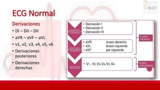 ECG Normal
Derivaciones
• DI – DII – DII
• aVR – aVF – aVL
• v1, v2, v3, v4, v5, v6
• Derivaciones
posteriores
• Derivaciones
derechas
 