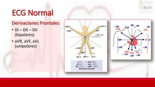 ECG Normal
Derivaciones Frontales
• DI – DII – DII
(bipolares)
• aVR, aVF, aVL
(unipolares)
 