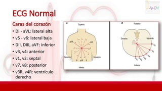 3 Ecg PPTX
