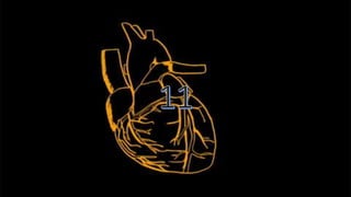 Source - muscular system