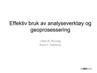 Lillian B. Risvaag
Rune Y. Tollefsrud
Effektiv bruk av analyseverktøy og
geoprosessering
 