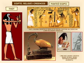 THOT, L’ESCRIBA, REGISTRA EL RESULTAT EL PES DEL COR D’ANI. DEL PAPIR D’ANI.
LLIBRE DELS MORTS. IMPERI NOU.
EGIPTE: RELIGIÓ I CREENCESEGIPTE: RELIGIÓ I CREENCES PANTEÓ EGIPCI
THOT
L’IBIS THOT, DAVANT L’ESTÀTUA
SEDENT DE MAAT. MUSEU
KESTNER DE HANNOVER
(ALEMANYA).
 