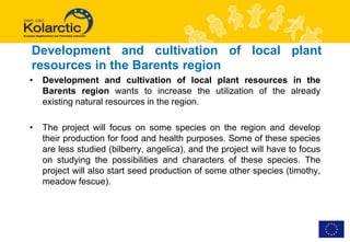 Development and cultivation of local plant
resources in the Barents region
•   Development and cultivation of local plant resources in the
    Barents region wants to increase the utilization of the already
    existing natural resources in the region.

•   The project will focus on some species on the region and develop
    their production for food and health purposes. Some of these species
    are less studied (bilberry, angelica), and the project will have to focus
    on studying the possibilities and characters of these species. The
    project will also start seed production of some other species (timothy,
    meadow fescue).
 