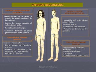 CAMBIOS BIOLOGICOS 
