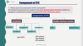 3- Electron Transport Chain pdf which is related to biochemistry | PDF