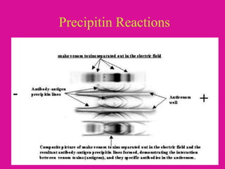 Precipitin Reactions
 