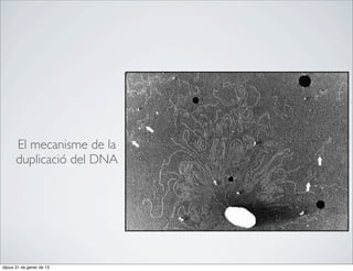 El mecanisme de la
      duplicació del DNA




dijous 31 de gener de 13
 