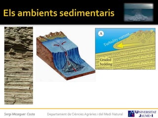 Sergi Meseguer Costa Departament de Ciències Agràries i del Medi Natural
 