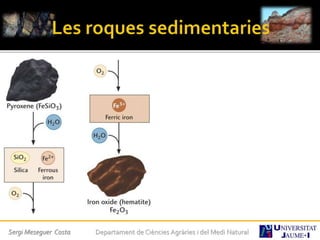 Sergi Meseguer Costa Departament de Ciències Agràries i del Medi Natural
 