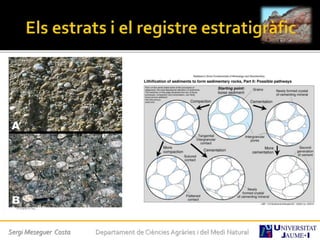 Sergi Meseguer Costa Departament de Ciències Agràries i del Medi Natural
 