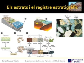 Sergi Meseguer Costa Departament de Ciències Agràries i del Medi Natural
 