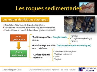 Les roques detrítiques clàstiques
Resultat de l’acumulació de partícules sòlides.
Són les més abundants, 84% de les roques sedimentàries.
Es classifiquen en funció de la mida de gra i/o composició.
Àrea
generadora
•Rudites o psefites: Conglomerats
>2mm
Bretxa
Conglomerat (Pudinga)
graves
Conca
sedimentària
Limolites 1/16 i 1/256mm
Argilites <1/256mm
Llims
Argiles
•Arenites o psammites: Gresos (sorrenques o arenisques)
2mm i 1/16mm
•Lutites o pelites
<1/16mm
Sergi Meseguer Costa Departament de Ciències Agràries i del Medi Natural
 