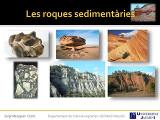 Sergi Meseguer Costa Departament de Ciències Agràries i del Medi Natural
 