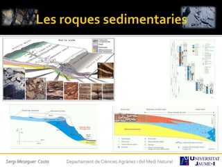 Sergi Meseguer Costa Departament de Ciències Agràries i del Medi Natural
 
