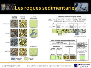 Sergi Meseguer Costa Departament de Ciències Agràries i del Medi Natural
 