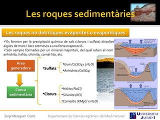 Les roques no detrítiques evaporites o evaporítiques
Es formen per la precipitació química de sals (clorurs i sulfats) dissoltes a les
aigües de mars i llacs sotmesos a una forta evaporació..
Són sempre formades per un mineral majoritari, del qual reben el nom (guix,
anhidrita, halita, silvinita, carnal·lita, etc.
Àrea
generadora
•Guix (CaSO4x 2H2O)
Conca
sedimentària
•Anhidrita (CaSO4)
•Sulfats
•Halita (NaCl)
•Silvinita (KCl)
•Carnalita (KMgCl x H2O)
•Clorurs
Sergi Meseguer Costa Departament de Ciències Agràries i del Medi Natural
 