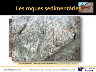 Detall del rascler i dels diferents minerals de la Muntanya de Sal de Cardona.
Sergi Meseguer Costa Departament de Ciències Agràries i del Medi Natural
 