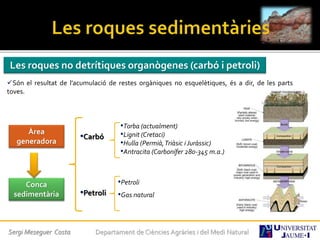 Les roques no detrítiques organògenes (carbó i petroli)
Són el resultat de l’acumulació de restes orgàniques no esquelètiques, és a dir, de les parts
toves.
Àrea
generadora
•Torba (actualment)
•Lignit (Cretaci)
•Hulla (Permià,Triàsic i Juràssic)
•Antracita (Carbonífer 280-345 m.a.)
Conca
sedimentària
•Carbó
•Petroli
•Gas natural•Petroli
Sergi Meseguer Costa Departament de Ciències Agràries i del Medi Natural
 
