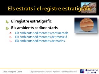 4. El registre estratigràfic
5. Els ambients sedimentaris
A. Els ambients sedimentaris continentals
B. Els ambients sedimentaris de transició
C. Els ambients sedimentaris de marins
Sergi Meseguer Costa Departament de Ciències Agràries i del Medi Natural
 
