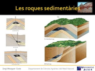 Sergi Meseguer Costa Departament de Ciències Agràries i del Medi Natural
 