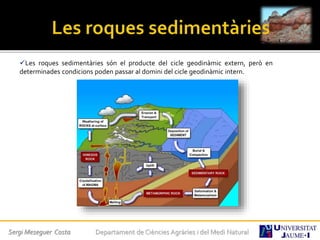 Sergi Meseguer Costa Departament de Ciències Agràries i del Medi Natural
Les roques sedimentàries són el producte del cicle geodinàmic extern, però en
determinades condicions poden passar al domini del cicle geodinàmic intern.
 