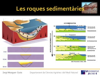 Sergi Meseguer Costa Departament de Ciències Agràries i del Medi Natural
 