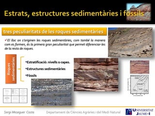 Sergi Meseguer Costa Departament de Ciències Agràries i del Medi Natural
tres peculiaritats de les roques sedimentàries
El lloc on s’originen les roques sedimentàries, com també la manera
com es formen, és la primera gran peculiaritat que permet diferenciar-les
de la resta de roques.
Roques
sedimentàries
•Estratificació: nivells o capes.
•Estructures sedimentàries
•Fòssils
 