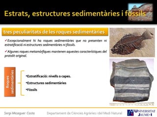 Sergi Meseguer Costa Departament de Ciències Agràries i del Medi Natural
tres peculiaritats de les roques sedimentàries
Excepcionalment hi ha roques sedimentàries que no presenten ni
estratificació ni estructures sedimentàries ni fòssils.
Algunes roques metamòrfiques mantenen aquestes característiques del
protolit original.
Roques
sedimentàries
•Estratificació: nivells o capes.
•Estructures sedimentàries
•Fòssils
 