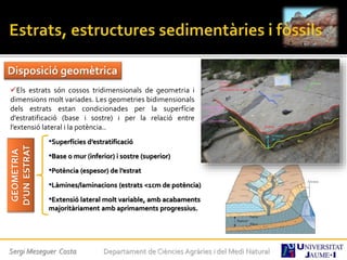 Sergi Meseguer Costa Departament de Ciències Agràries i del Medi Natural
Disposició geomètrica
Els estrats són cossos tridimensionals de geometria i
dimensions molt variades. Les geometries bidimensionals
dels estrats estan condicionades per la superfície
d’estratificació (base i sostre) i per la relació entre
l’extensió lateral i la potència..
GEOMETRIA
D’UNESTRAT
•Superfícies d’estratificació
•Base o mur (inferior) i sostre (superior)
•Potència (espesor) de l’estrat
•Làmines/laminacions (estrats <1cm de potència)
•Extensió lateral molt variable, amb acabaments
majoritàriament amb aprimaments progressius.
 