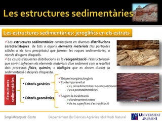 Sergi Meseguer Costa Departament de Ciències Agràries i del Medi Natural
Les estructures sedimentàries: jeroglífics en els estrats
Les estructures sedimentàries consisteixen en diverses distribucions
característiques de tots o alguns elements materials (les partícules
sòlides o els ions precipitats) que formen les roques sedimentàries, o
només d’alguns d’aquells.
La causa d’aquestes distribucions és la reorganització -l’estructuració-
que sovint sofreixen els elements materials d’un sediment com a resultat
dels processos físics, químics, o biològics que es donen durant la
sedimentació o després d’aquesta.
Estructures
sedimentàries
•Criteris genètics
•Criteris geomètrics
Origen inorgànic/orgànic
Contemporaneïtat
1s, sinsedimentàries o sindeposicionals
2s o postsedimentàries
Segons la localització
d’ordenament intern
de les superfícies d’estratificació
 