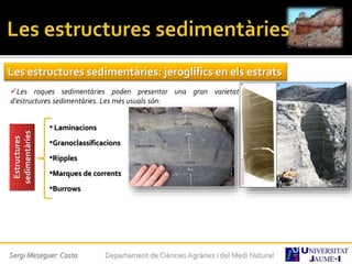 Sergi Meseguer Costa Departament de Ciències Agràries i del Medi Natural
Les estructures sedimentàries: jeroglífics en els estrats
Les roques sedimentàries poden presentar una gran varietat
d’estructures sedimentàries. Les més usuals són:
Estructures
sedimentàries
• Laminacions
•Granoclassificacions
•Ripples
•Marques de corrents
•Burrows
 