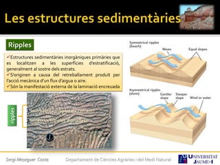 Sergi Meseguer Costa Departament de Ciències Agràries i del Medi Natural
Ripples
Estructures sedimentàries inorgàniques primàries que
es localitzen a les superfícies d’estratificació,
generalment al sostre dels estrats.
S’originen a causa del retreballament produït per
l’acció mecànica d’un flux d’aigua o aire.
Són la manifestació externa de la laminació encreuada
ripples
• assimètrics (ripples de corrent)
•Simètrics (ripples d’onades)
 