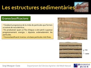Sergi Meseguer Costa Departament de Ciències Agràries i del Medi Natural
Granoclassificacions
Gradació progressiva de la mida de partícules que formen
un estrat de roca detrítica.
Es produeixen quan un flux d’aigua o aire perd o guanya
progressivament energia i diposita ordenadament les
partícules.
Granoclassificació inversa: a la base partícules més fines.
 