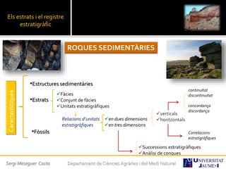 Els estrats i el registre
estratigràfic
ROQUES SEDIMENTÀRIES
Característiques
•Estructures sedimentàries
•Estrats
Fàcies
Conjunt de fàcies
Unitats estratigràfiques
•Fòssils
en dues dimensions
en tres dimensions
Relacions d’unitats
estratigràfiques
verticals
horitzontals
continuitat
discontinuitat
concordança
discordança
Correlacions
estratigràfiques
Successions estratigràfiques
Anàlisi de conques
Sergi Meseguer Costa Departament de Ciències Agràries i del Medi Natural
 