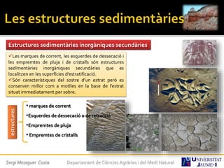 Sergi Meseguer Costa Departament de Ciències Agràries i del Medi Natural
Estructures sedimentàries inorgàniques secundàries
Les marques de corrent, les esquerdes de dessecació i
les empremtes de pluja i de cristalls són estructures
sedimentàries inorgàniques secundàries que es
localitzen en les superfícies d’estratificació.
Són característiques del sostre d’un estrat però es
conserven millor com a motlles en la base de l’estrat
situat immediatament per sobre.
estructures
• marques de corrent
•Esquerdes de dessecació o de retracció
•Empremtes de pluja
• Empremtes de cristalls
 