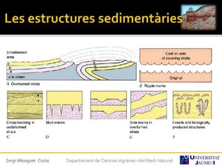 Sergi Meseguer Costa Departament de Ciències Agràries i del Medi Natural
 