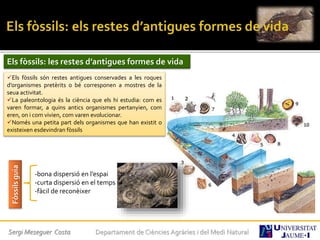 Sergi Meseguer Costa Departament de Ciències Agràries i del Medi Natural
Els fòssils: les restes d’antigues formes de vida
Els fòssils són restes antigues conservades a les roques
d’organismes pretèrits o bé corresponen a mostres de la
seua activitat.
La paleontologia és la ciència que els hi estudia: com es
varen formar, a quins antics organismes pertanyien, com
eren, on i com vivien, com varen evolucionar.
Només una petita part dels organismes que han existit o
existeixen esdevindran fòssils
Fòssilsguia
-bona dispersió en l’espai
-curta dispersió en el temps
-fàcil de reconèixer
 