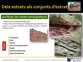 Sergi Meseguer Costa Departament de Ciències Agràries i del Medi Natural
Les fàcies i les unitats estratigràfiques
Aspecte de les roques estratificades.
Conjunt de característiques litològiques que diferencien un
estrat o un conjunt d’estrats dels altres estrats o conjunts
d’estrats veïns.
Fàcies
•Composició
•Color
•Textura
•Estructures sedimentàries
•Fòssils
•Geometria dels estrats
•Tipus d’estratificació
 