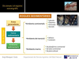 Els estrats i el registre
estratigràfic
ROQUES SEDIMENTÀRIES
Onesformen
Conca
sedimentaria
•Ambients continentals
glacials
desèrtics
Al·luvials
fluvials
Ambients
sedimentaris
deltaics
costaners
•Ambients de transició
•Ambients marins
de plataforma continental
de talús continental
de plana abissal
Àrees
generadores
Sergi Meseguer Costa Departament de Ciències Agràries i del Medi Natural
 