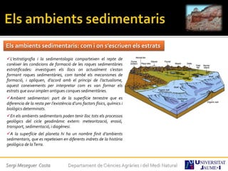 Sergi Meseguer Costa Departament de Ciències Agràries i del Medi Natural
Els ambients sedimentaris: com i on s’escriuen els estrats
L’estratigrafia i la sedimentologia comparteixen el repte de
conèixer les condicions de formació de les roques sedimentàries
estratificades: investiguen els llocs on actualment s’estan
formant roques sedimentàries, com també els mecanismes de
formació, i apliquen, d’acord amb el principi de l’actualisme,
aquest coneixements per interpretar com es van formar els
estrats que avui omplen antigues conques sedimentàries.
Ambient sedimentari: part de la superfície terrestre que es
diferencia de la resta per l’existència d’uns factors físics, químics i
biològics determinats.
En els ambients sedimentaris poden tenir lloc tots els processos
geològics del cicle geodinàmic extern: meteorització, erosió,
transport, sedimentació, i diagènesi.
A la superfície del planeta hi ha un nombre finit d’ambients
sedimentaris, que es repeteixen en diferents indrets de la història
geològica de laTerra.
 