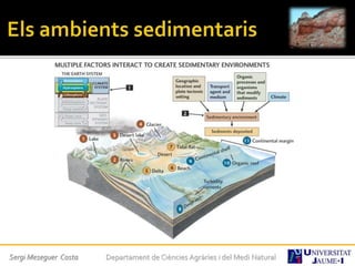 Sergi Meseguer Costa Departament de Ciències Agràries i del Medi Natural
 
