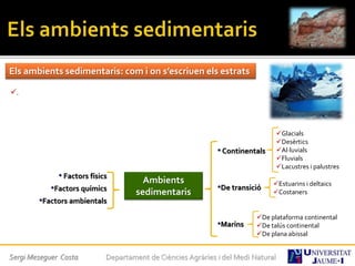 Sergi Meseguer Costa Departament de Ciències Agràries i del Medi Natural
Els ambients sedimentaris: com i on s’escriuen els estrats
.
•Continentals
•De transició
•Marins
Ambients
sedimentaris
• Factors físics
•Factors químics
•Factors ambientals
Glacials
Desèrtics
Al·luvials
Fluvials
Lacustres i palustres
Estuarins i deltaics
Costaners
De plataforma continental
De talús continental
De plana abissal
 