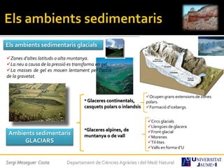 Sergi Meseguer Costa Departament de Ciències Agràries i del Medi Natural
Els ambients sedimentaris glacials
Zones d’altes latituds o alta muntanya.
La neu a causa de la pressió es transforma en gel.
La masses de gel es mouen lentament per l’acció
de la gravetat.
•Glaceres continentals,
casquets polars o inlandsis
•Glaceres alpines, de
muntanya o de vallAmbients sedimentaris
GLACIARS
Ocupen grans extensions de zones
polars.
Formació d’icebergs.
Circs glacials
Llengües de glacera
Front glacial
Morenes
Til·lites
Valls en forma d’U
 