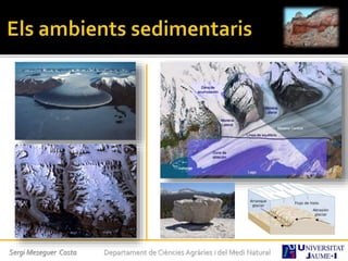 Sergi Meseguer Costa Departament de Ciències Agràries i del Medi Natural
 