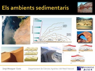 Sergi Meseguer Costa Departament de Ciències Agràries i del Medi Natural
 