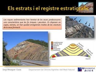 Les roques sedimentaries han heretat de les seues predecessores
una característica que les fa úniques i peculiars. Es disposen en
capes, estrats, on han quedat enregistrats moltes de les visicituts
de la seua formació
Sergi Meseguer Costa Departament de Ciències Agràries i del Medi Natural
 